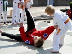 Bilder aus 2011